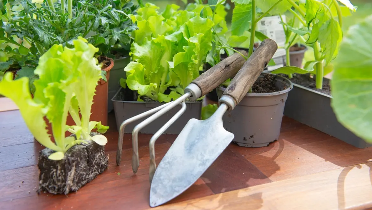 gardening tools​ ​